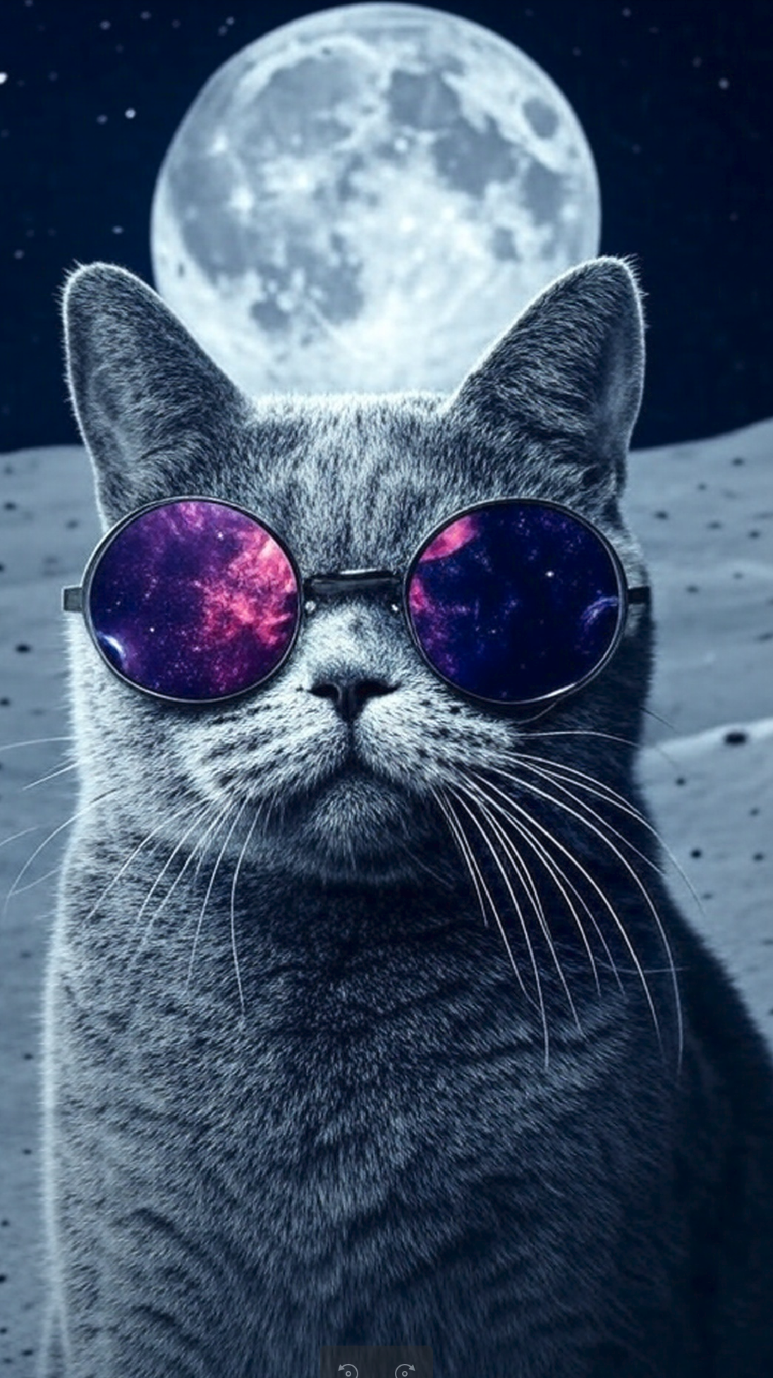CATYMOON Logo